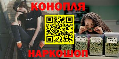 jwh Кингисепп