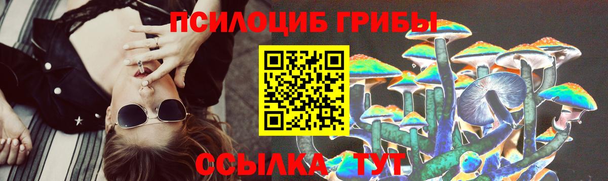 Волоколамск  Псилоцибиновые грибы MAGIC MUSHROOMS  Вход с VPN 