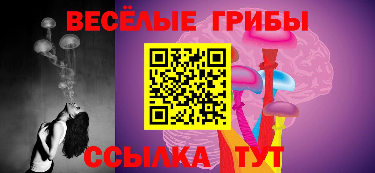 Псилоцибиновые грибы ЛСД Волоколамск